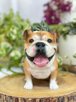 Load image into Gallery viewer, Dog Planter Pot - Personalized