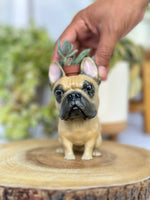 Load image into Gallery viewer, Dog Planter - Ready to Ship
