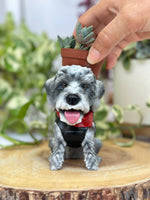 Load image into Gallery viewer, Dog Planter Pot - Personalized