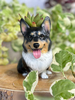 Load image into Gallery viewer, Dog Planter Pot - Personalized
