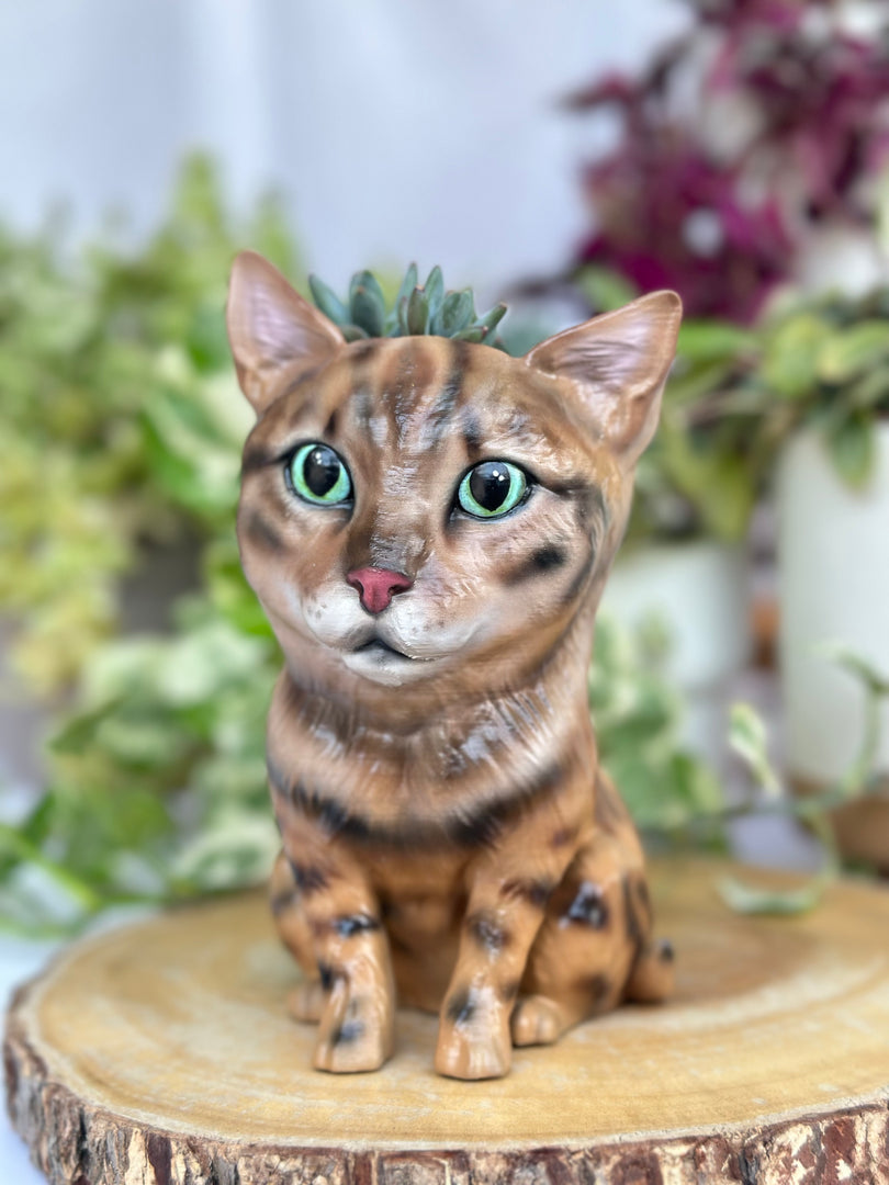 Cat Planter