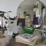 Load image into Gallery viewer, Cat Planter Pot - Personalized