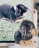 Load image into Gallery viewer, Bunny Planter Pot - Personalized