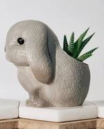 Load image into Gallery viewer, Bunny Planter