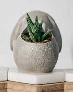 Load image into Gallery viewer, Bunny Planter