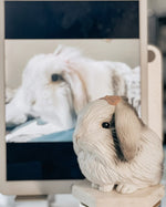 Load image into Gallery viewer, Bunny Planter Pot - Personalized