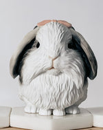 Load image into Gallery viewer, Bunny Planter