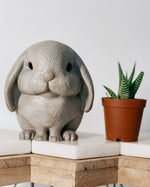 Load image into Gallery viewer, Bunny Planter