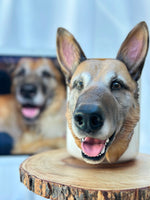 Load image into Gallery viewer, Pet Urn (Face)