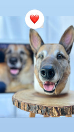 Load image into Gallery viewer, Pet Urn (Bust)