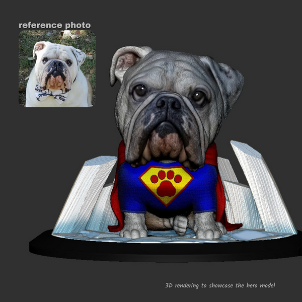 Custom Superhero Dog Diorama