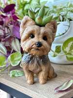 Load image into Gallery viewer, Dog Planter - Ready to Ship
