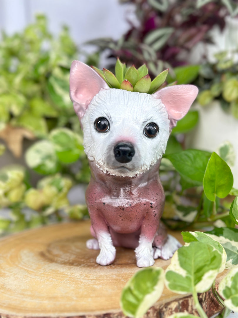 dog in plant pot Dog Planter Pot