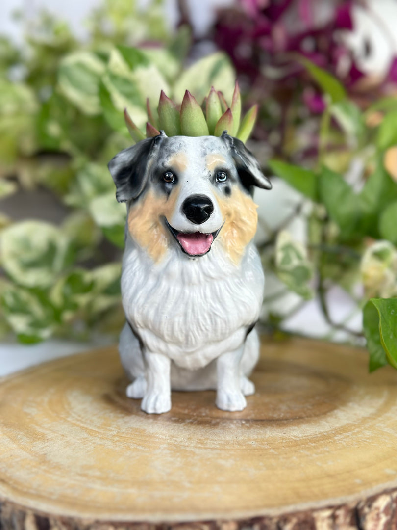 Dog Planter Pot - Personalized