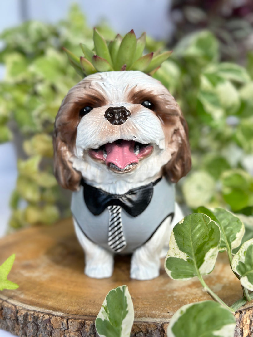 Dog Planter Pot - Personalized
