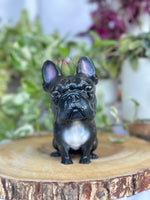 Load image into Gallery viewer, Dog Planter - Ready to Ship
