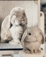 Load image into Gallery viewer, Bunny Planter Pot - Personalized

