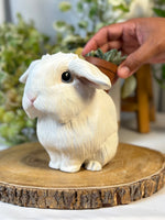 Load image into Gallery viewer, Bunny Planter
